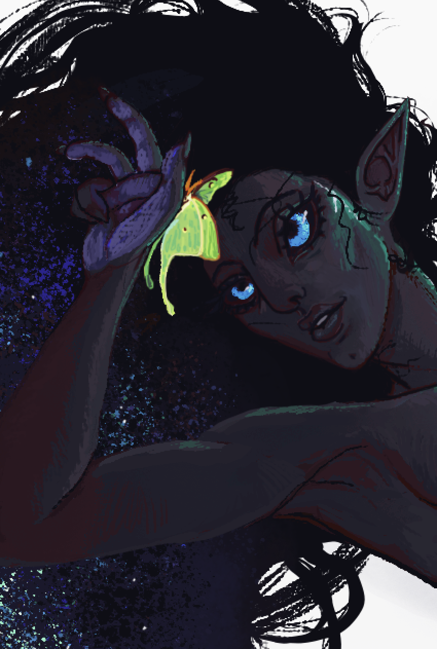 detail1